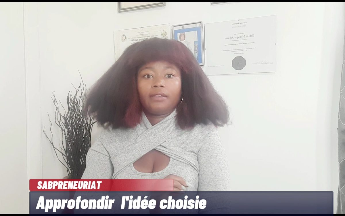 Approfondissement de l’idée d’affaires